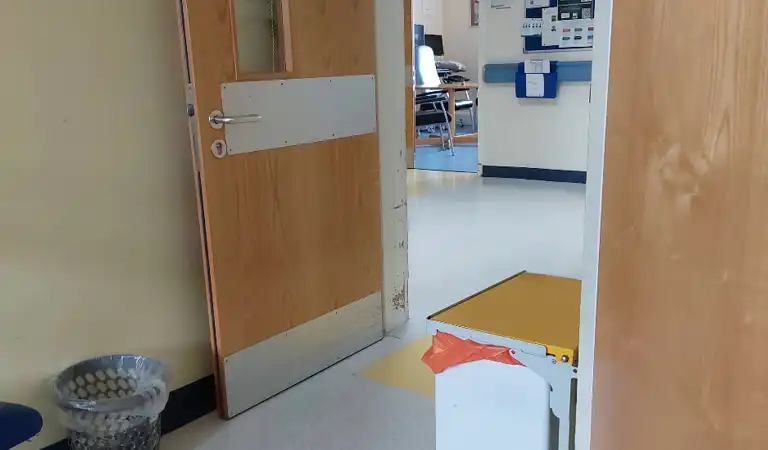 Visiting Outpatients and the Emergency Department